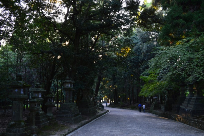 On our way through the woods. The sun sets quite early here, around 5-6.