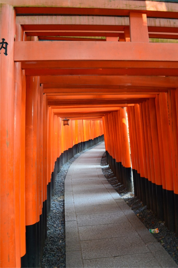 I didn't count but I don't think "a thousand" is an exaggeration when it comes to the torii gates.