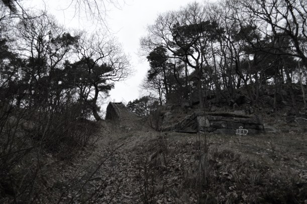 Right in the middle of the hill