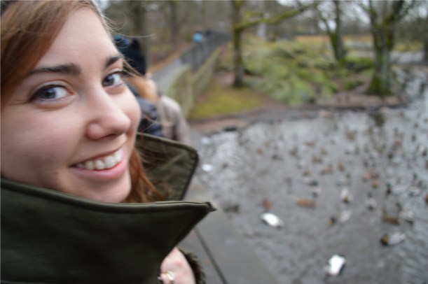 I'm pretty sure there's usually a sign saying " don't feed the animals", but that was completely ignored by some. I enjoyed watching.